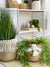 Stylish Seagrass Belly Basket With Macramé Decor