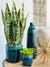 Blended Teal Ceramic Tall Bottle