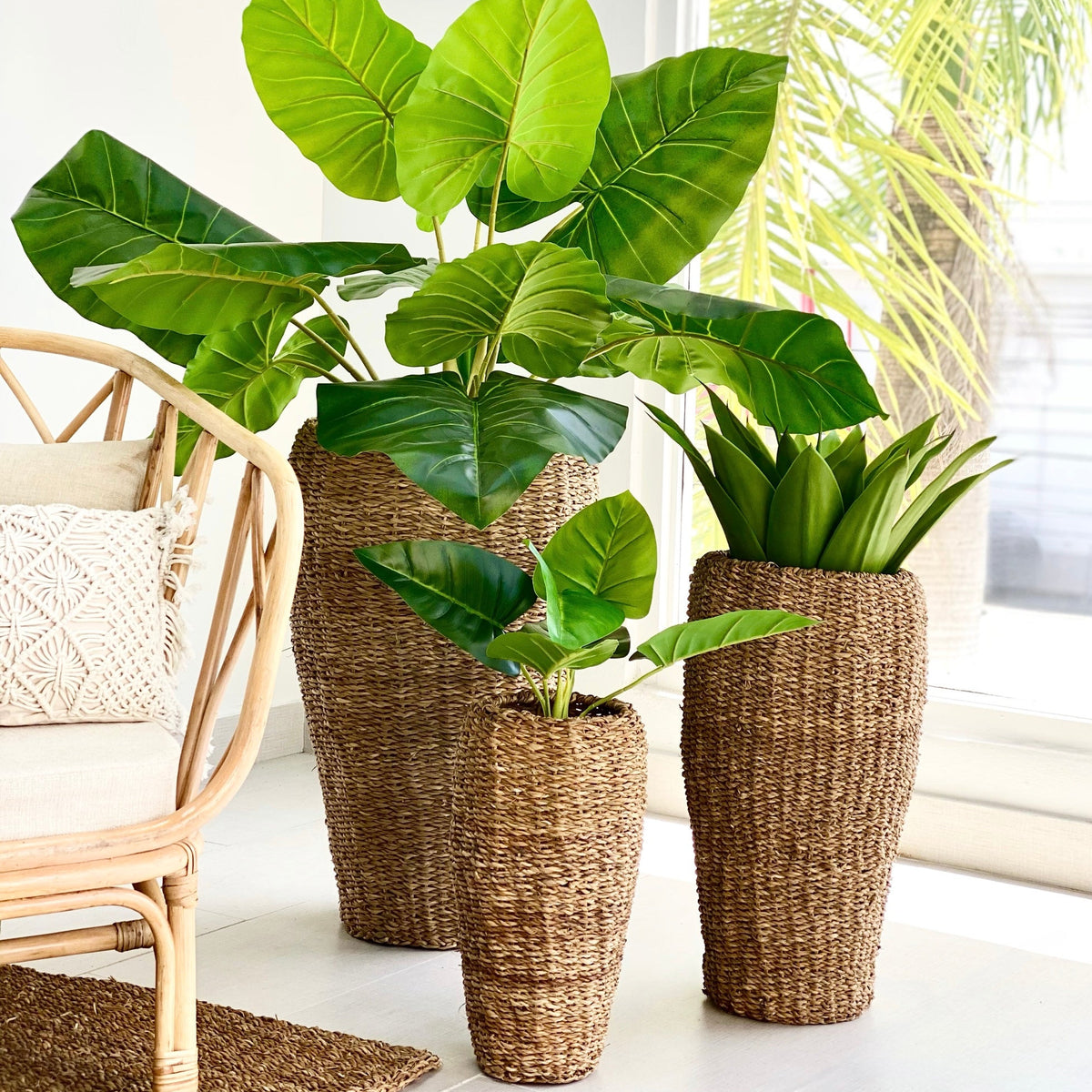 Round Conical Top wicker & Iron Frame Planter