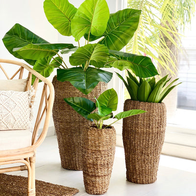 Round Conical Top wicker & Iron Frame Planter