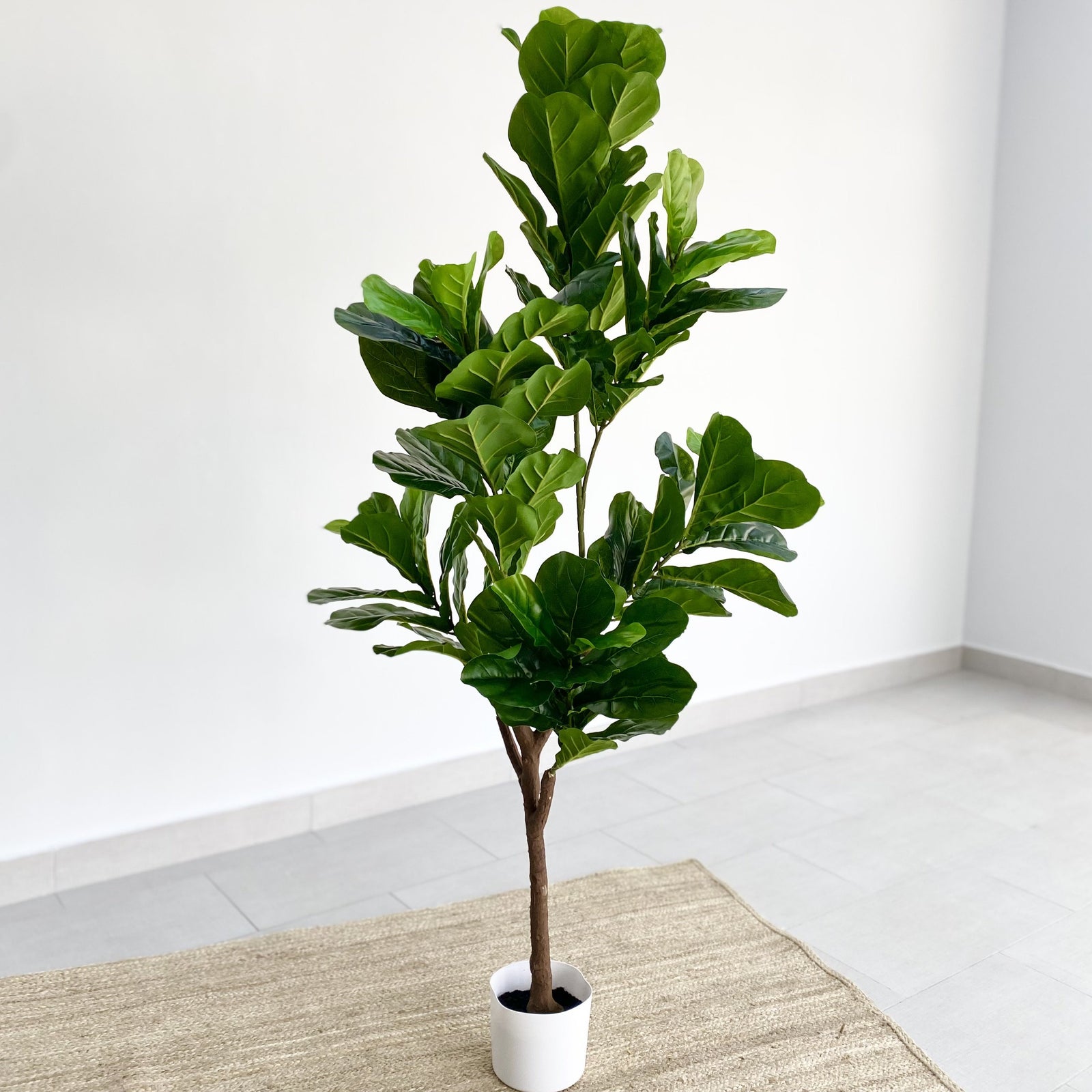Real Touch Fiddleleaf Faux Almendro Tree