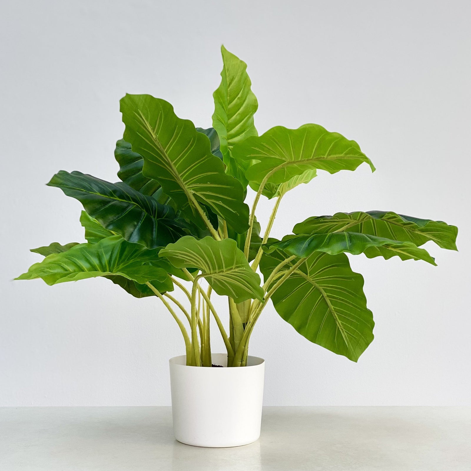 Real Touch Wild Philo Faux