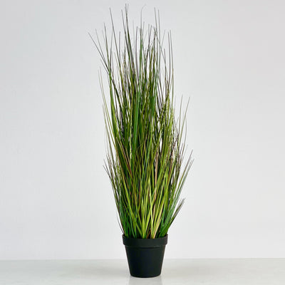 Onion Faux Grass
