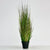 Onion Faux Grass