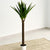 Glorious Single Yucca Faux Tree