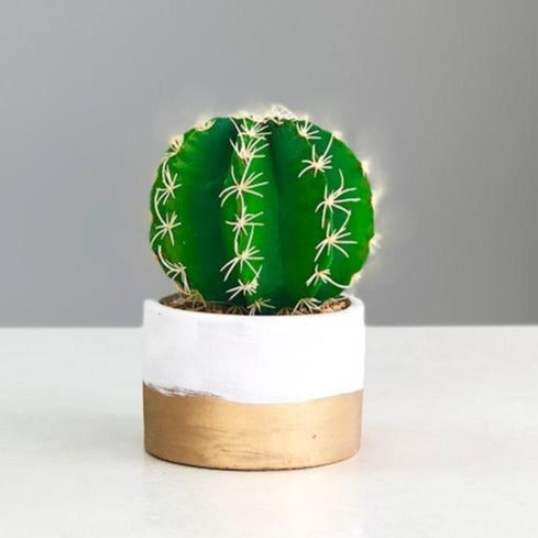 Synthetic Cactus in a White & Gold Pot