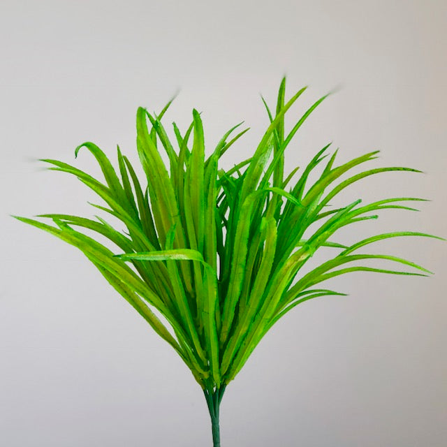 Wild Leafy Green Grass Bush