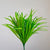 Wild Leafy Green Grass Bush