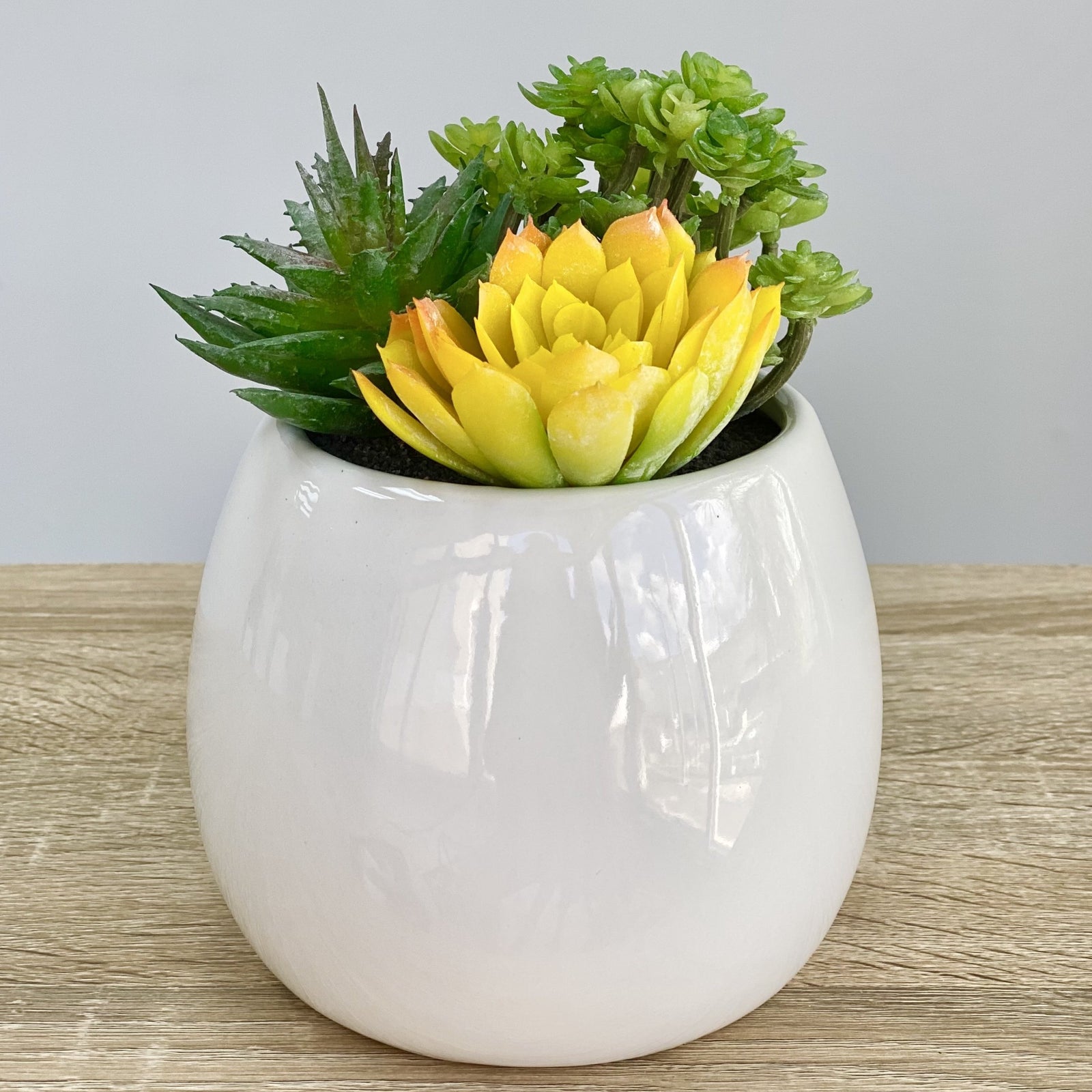 Yellow Succulent Bush Ceramic Round Pot