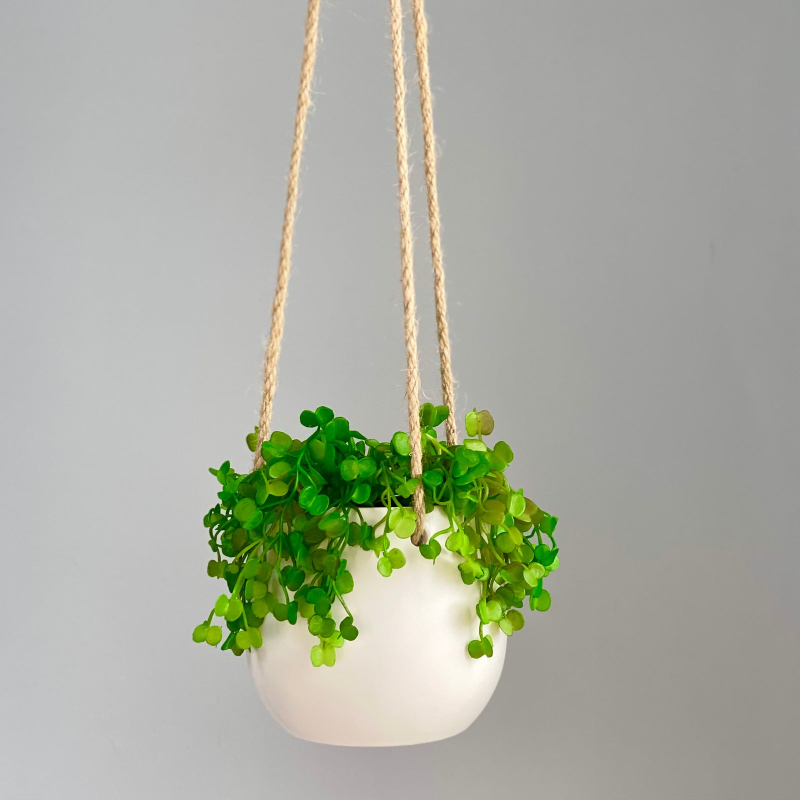 String of Nickels Minimal Hanging Planter