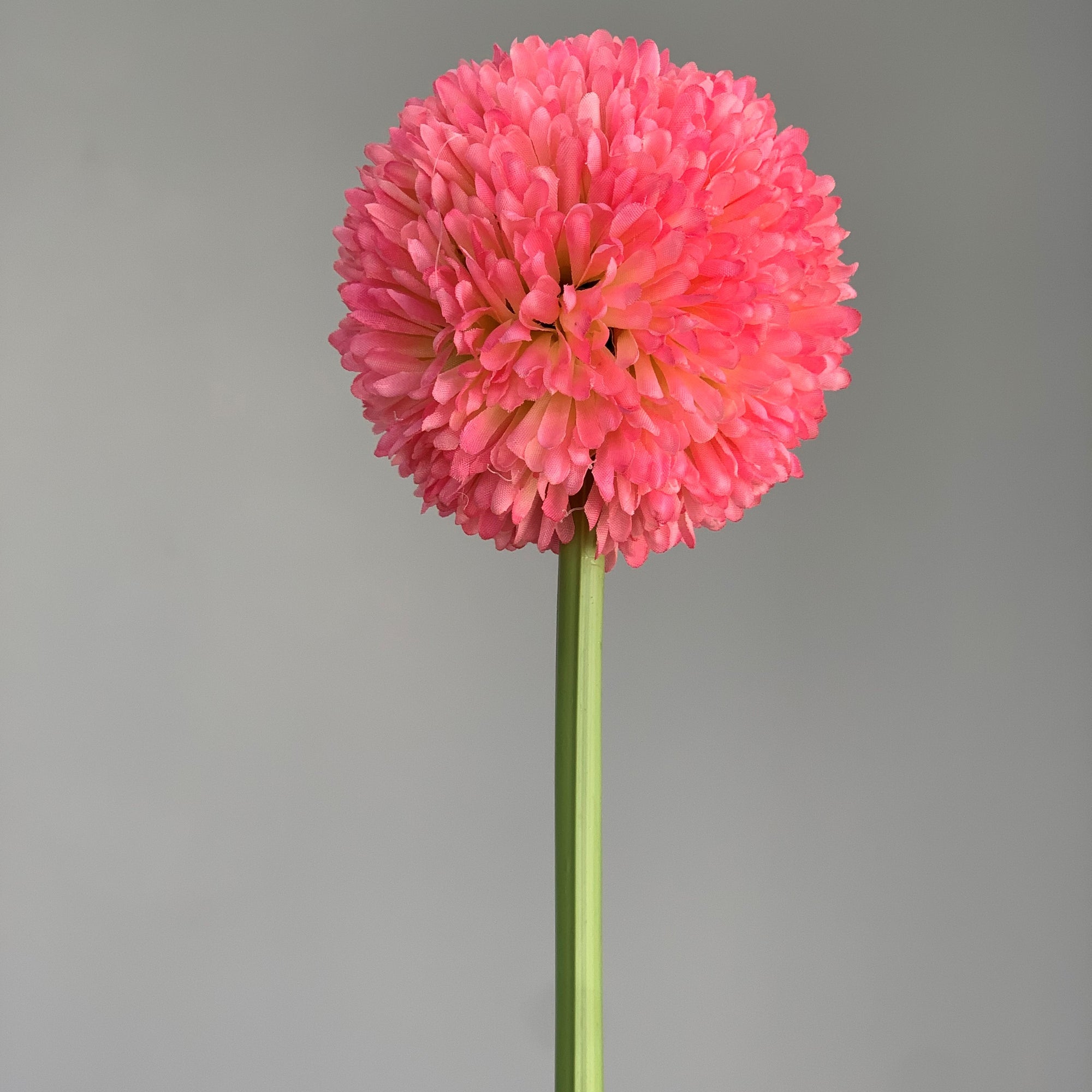 Single Daisy Pink Ball