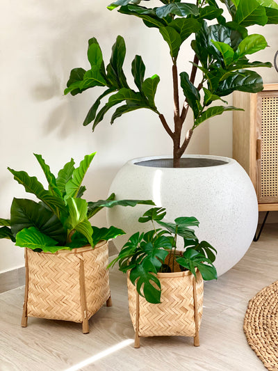 Handcrafted Bamboo Planter