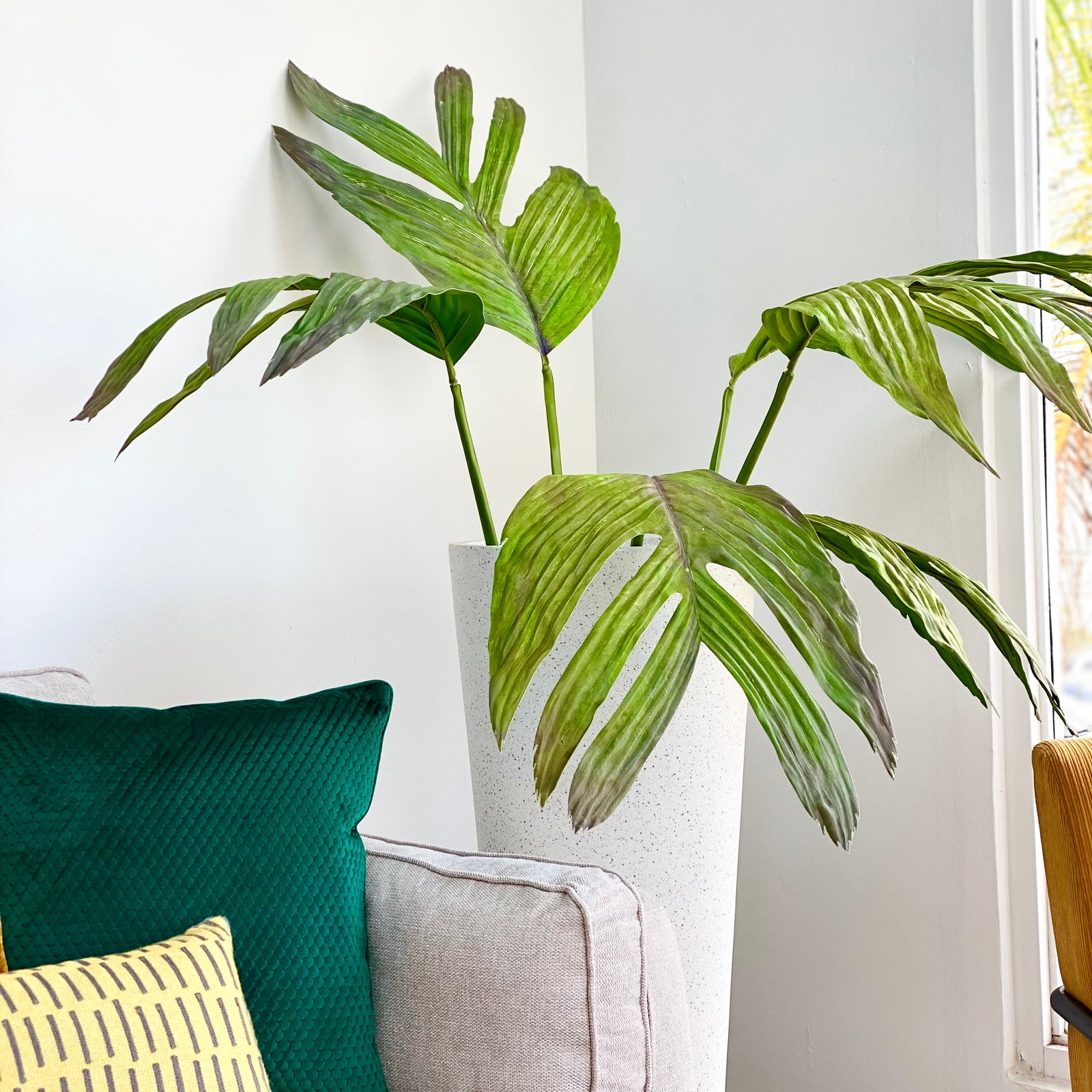 Real Touch Betel-Nut Giant Leaf