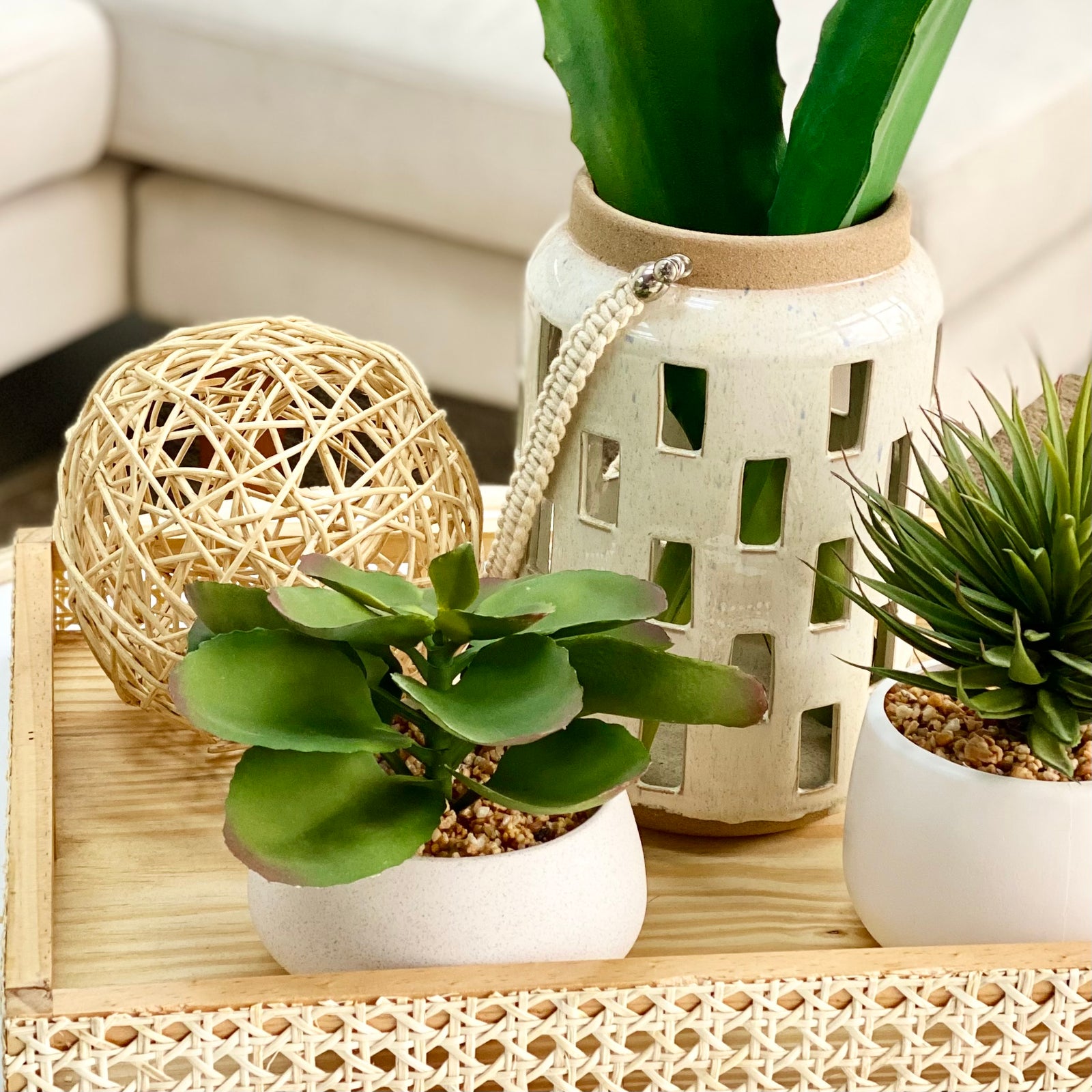 Monarca Potted Faux Succulent Plant