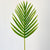 Princess Palm Small Leaf