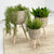 Round Woven Planter Set