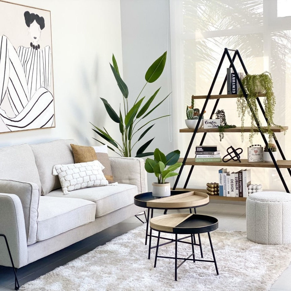 Immensity Triangle Bookshelf