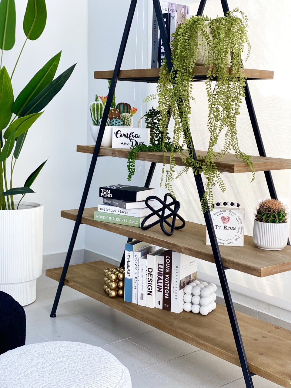 Immensity Triangle Bookshelf
