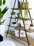 Immensity Triangle Bookshelf